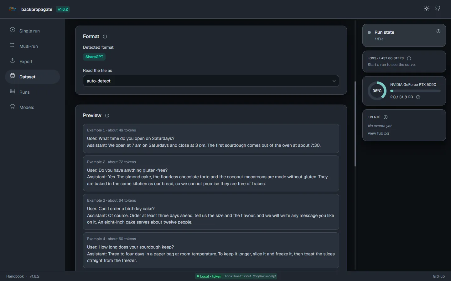 The Dataset page showing the first examples of an uploaded file, laid out as User and Assistant turns.